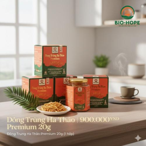 Bí Quyết Sử Dụng Đông Trùng Hạ Thảo Premium Hiệu Quả Và An Toàn